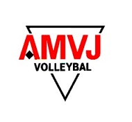 Historisch logo van AMVJ